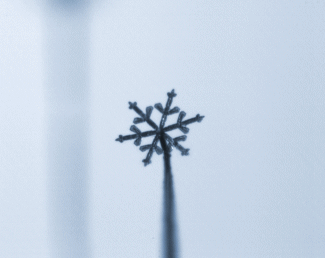 Lab Grown Snowflake - Accelerated Time-lapse Gif GIF - Science Cool Snowflake GIFs