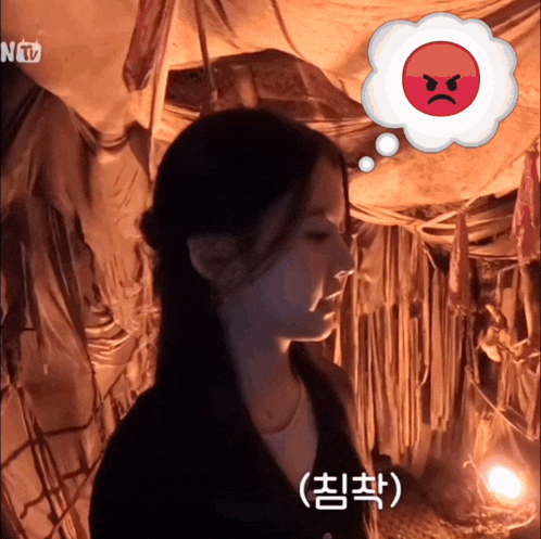 a woman with an angry face in a thought bubble with ntv in the background
