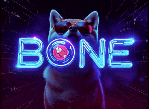 a dog wearing sunglasses stands in front of a neon sign that reads bone