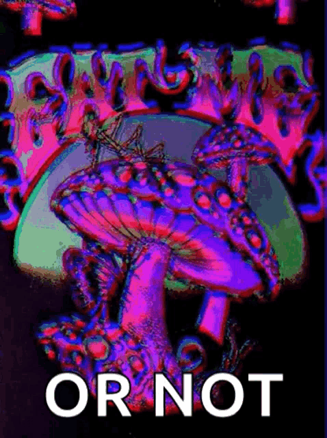 a poster with a mushroom and a dragonfly on it that says or not .