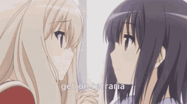 two anime girls are looking at each other and the words get on terraria are visible