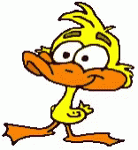 Duck Blink GIF - Duck Blink GIFs