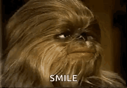 a close up of chewbacca 's face with the word smile written on it .
