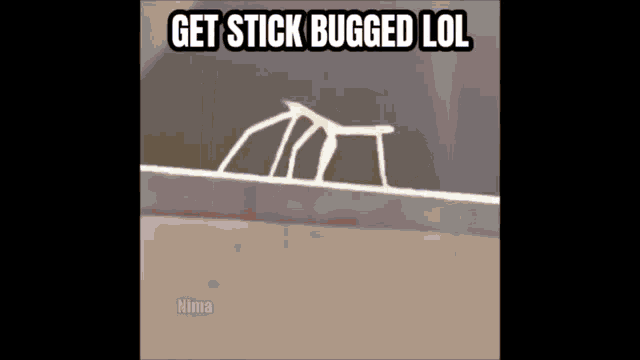 Get Stickbugged Lol Get Distracted GIF - Get Stickbugged Lol Get Distracted Distracted GIFs
