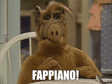 a stuffed animal is sitting at a table with the words fappiano written on it .