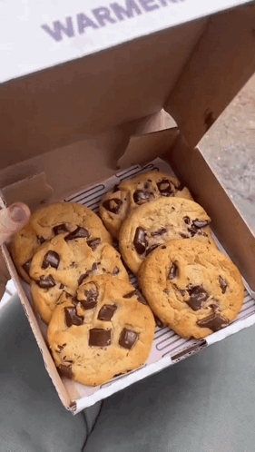insomnia-cookies-chocolate-chunk-cookies