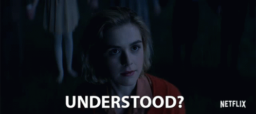 Understood Do You Understand GIF - Understood Do You Understand Did You Get It GIFs
