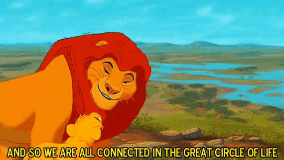 a cartoon of a lion and a cub with the words " and so we are all connected in the great circle of life " below them