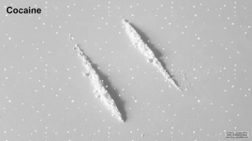 Cocaine Snow GIF - Cocaine Snow Blow GIFs
