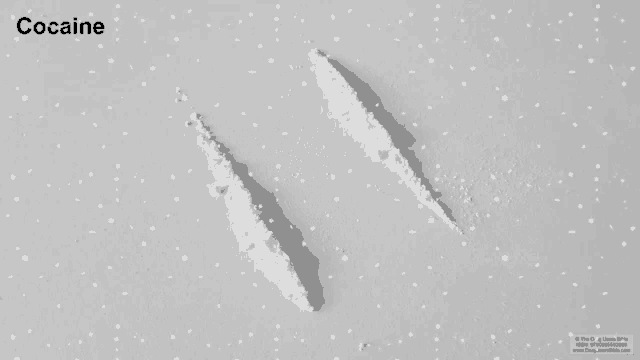 two lines of cocaine on a white surface with the word cocaine on the bottom