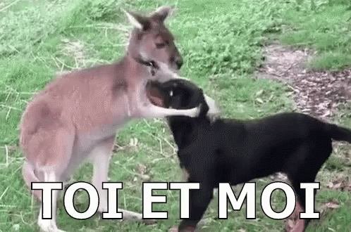 Toi Et Moi GIF - Toi Et Moi GIFs