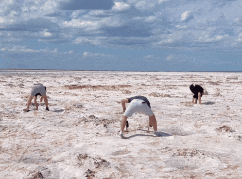 a group of people are bending over in the dirt