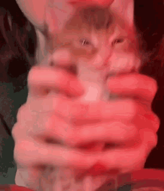 a close up of a person holding a kitten in their arms .