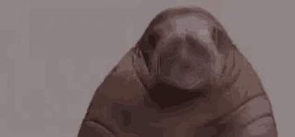 a close up of a seal with the words dans le in the background
