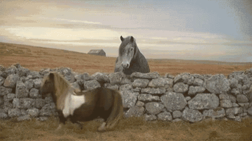 two horses are standing next to a stone wall