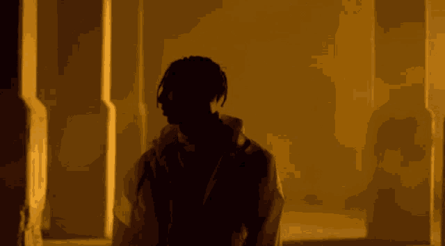 a silhouette of a man standing in a dark room