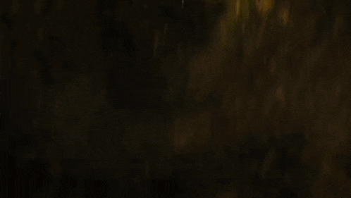 a close up of a yellow liquid with a lot of bubbles in it .