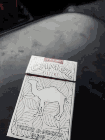 Smoke Cigarette GIF - Smoke Cigarette Camel GIFs