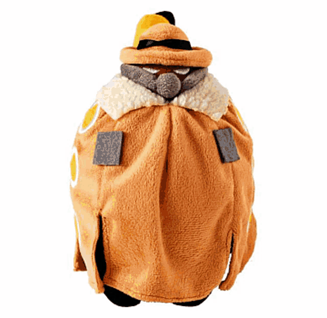 a stuffed animal with a hat and cape on