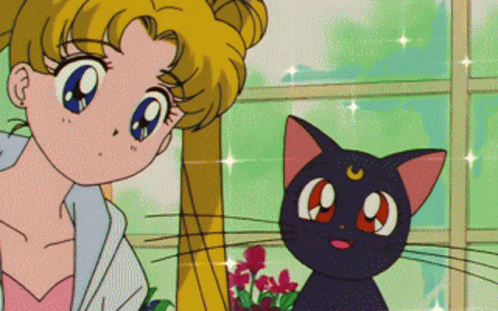 Sailor Moon Artemis Es Artemis Y Yo Soy Yo GIF - Sailor Moon Artemis Es Artemis Y Yo Soy Yo Luna Sailor Moon GIFs