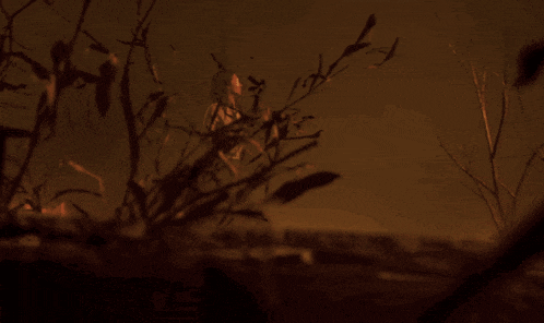 a blurred image of a person standing in a dark room