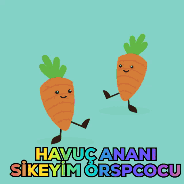 two carrots with arms and legs and the words havucanani sikeyim orspcocu on the bottom