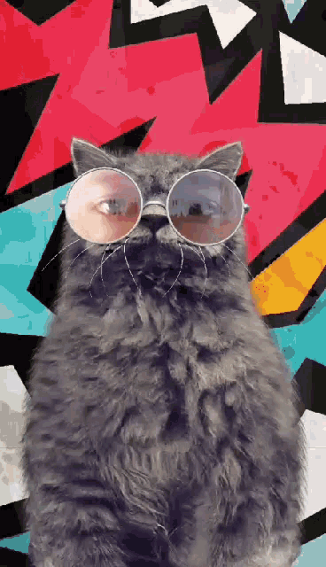 Wow Cat GIF - Wow Cat Wink GIFs