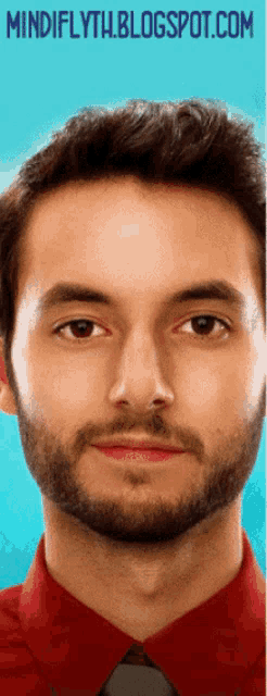 a close up of a man 's face with the website mindiflyth.blogspot.com visible