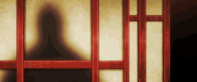 a shadow of a person is cast on a wall behind a wooden door