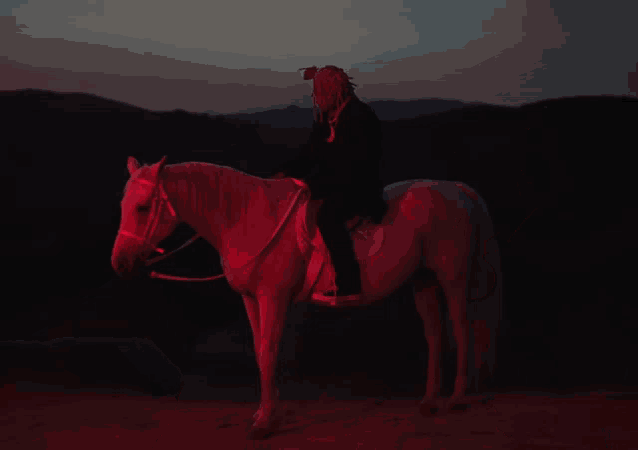 a person riding a white horse with red lights on the back