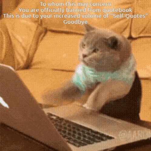 a cat is sitting in front of a laptop with the words " to whom this may concern "