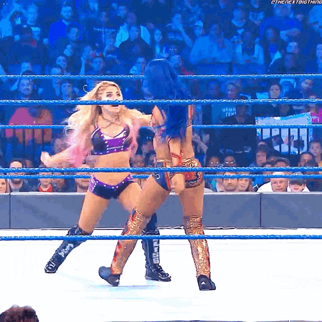two women are wrestling in a ring and one of them is wearing a boot that says ' smackdown ' on the side