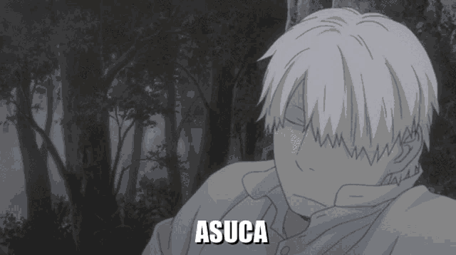 a cartoon character with the name asuca on the bottom right