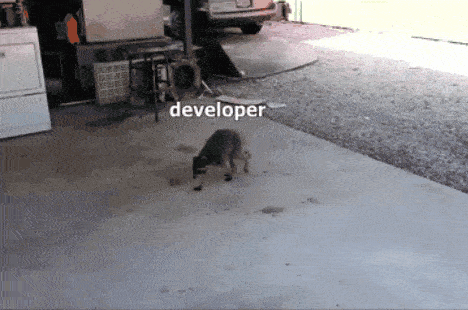 a dog with the word developer written on the ground
