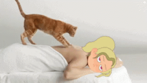 Whosji Massage GIF - Whosji Massage Cat Massage GIFs