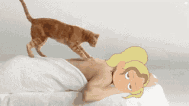 a cat is holding a white towel over its head