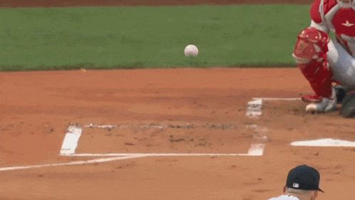 a baseball catcher is ready to catch the ball