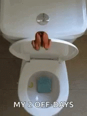 Day Off Dive GIF - Day Off Dive Toilet GIFs