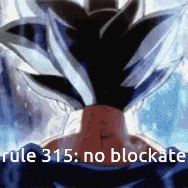 Rule315 Blockate GIF - Rule315 Blockate No Blockate GIFs