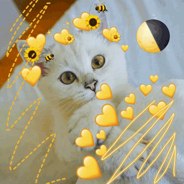 a white cat with yellow hearts and sunflowers on it 's head