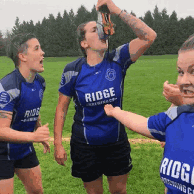 Rugby Sports GIF - Rugby Sports GIFs