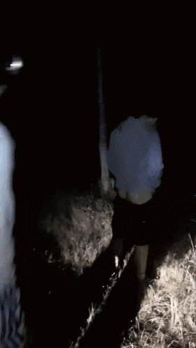 a blurry picture of a person running in the dark