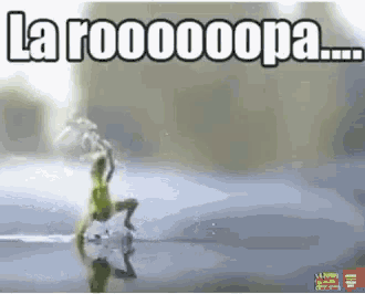 a picture of a frog splashing water with the words la roooooopa
