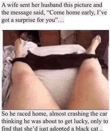 Husband Wife Love Meme