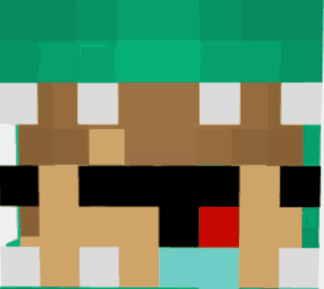 a minecraft character wearing a green hat and sunglasses