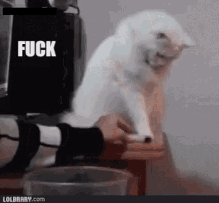 a white cat sitting on a table with the word fuck in the corner