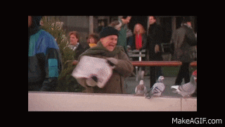 a man holding a newspaper is surrounded by pigeons on a make a gif.com website