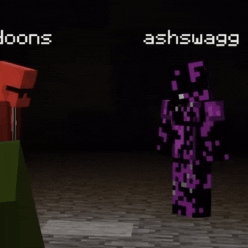two minecraft characters are standing next to each other and one has the name ashswagg on his chest