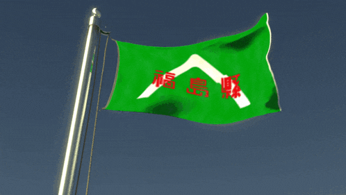 a green flag with a white triangle and red letters