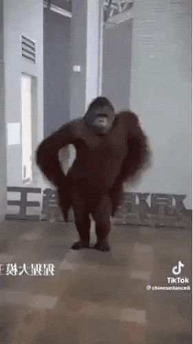 a gorilla is dancing in a room in front of a sign that says king kong .